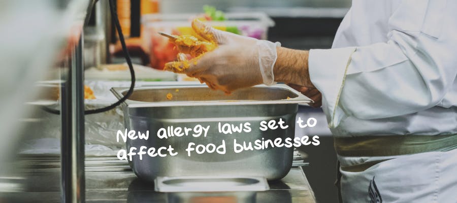 Update: Major allergy law set to affect food businesses