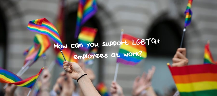 How can you support LGBTQIA+ employees at work? 