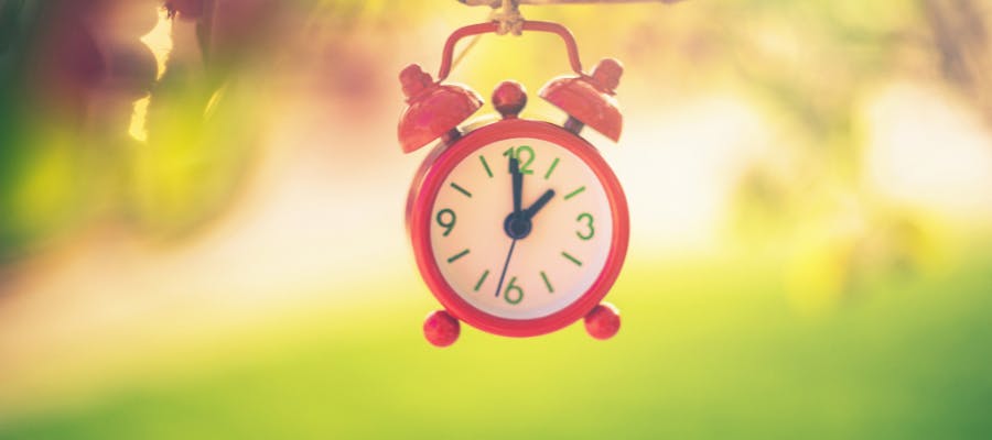 Spring forward, don’t stumble! Employer tips for managing the daylight saving time change hero image