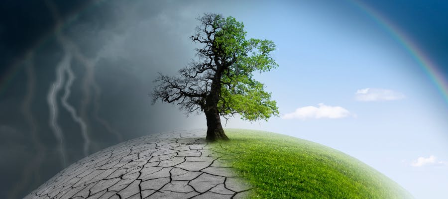 World Day for Safety and Health at Work 2024: Tackling a changing climate